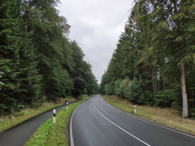 Empty winding road in the forest. Curve way of asphalt road.