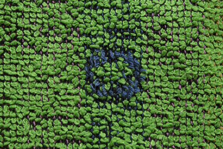 美丽的 特写镜头 自然 织物 圆圈 树叶 圈子 植物 夏天