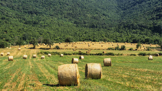 拉齐奥Priverno附近的乡村景观
