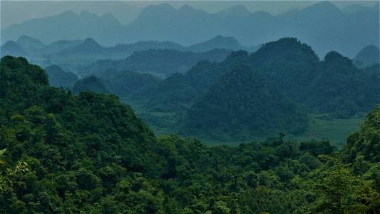 农田 梯田 食物 乡村 旅行 种植园 风景 亚洲 越南 村庄