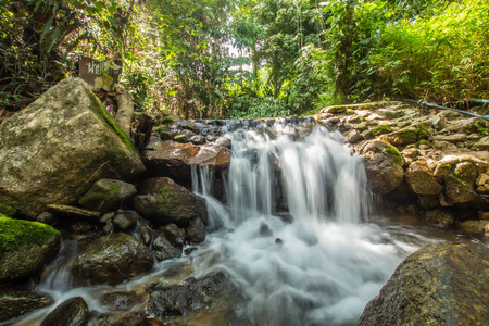 花园 美丽的 美女 旅行 自然 森林 普吉岛 瀑布 雨林