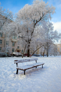 房子 圣诞节 小巷 窗口 天空 分支 季节 天气 俄罗斯