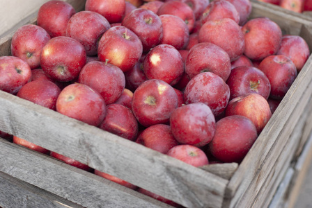 美味的 夏天 苹果 收获 甜的 健康 水果 食物 农业 市场