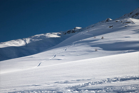 轨道 滑雪 活动 运动 天空 风景 自然 冬天 阿尔卑斯山