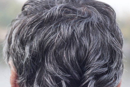 头发灰白.背面人像照片