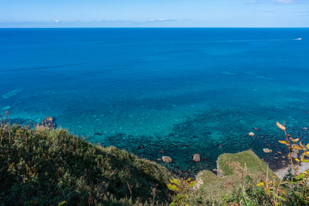 美丽的 旅行 斗篷 日本 季节 夏天 天空 自然 北海道