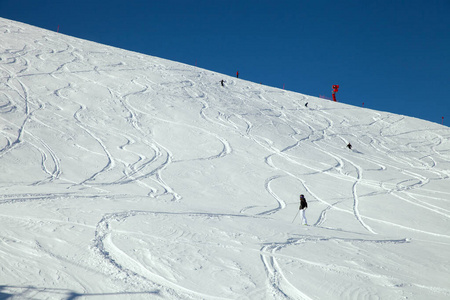 浆果 假期 滑雪者 天空 滑雪板 旅行 冬天 季节 求助