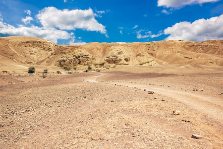 旅游业 旅游 冒险 墙纸 美国 沙丘 假日 地标 观光 地形