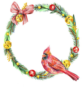 圣诞花环红色的红衣主教鸟在树枝上。弓，钟，星