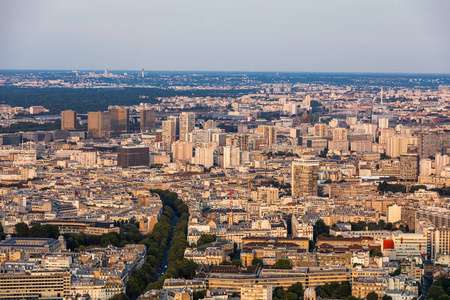 经典的巴黎建筑。屋顶鸟瞰图。巴黎屋顶pa
