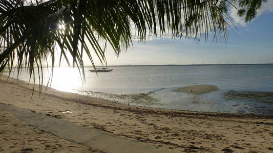 旅行 波动 海洋 风景 日出 太阳 海岸 亚洲 棕榈 假期