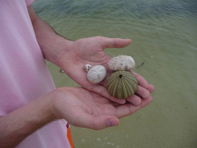 旅行 棕榈树 小孩 人类 纹理 海岸线 自然 天空 颜色