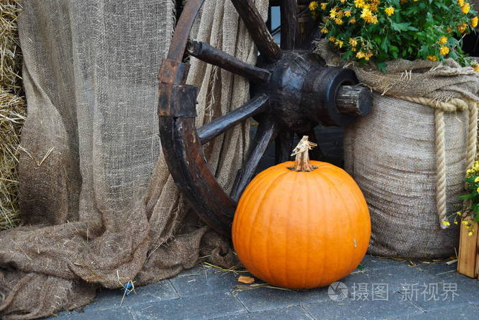 Street autumn decor with a pumpkin. 