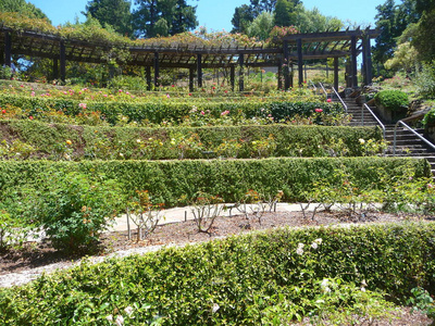 花园 加利福尼亚 城堡 风景 植物 树篱 宫殿 玫瑰 欧洲