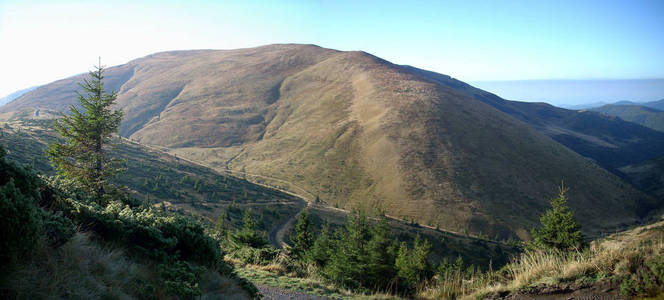 草地 高峰 森林 秋天 山谷