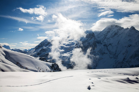 极端 自然 求助 加拿大 运动 欧洲 阿尔卑斯山 滑雪 意大利