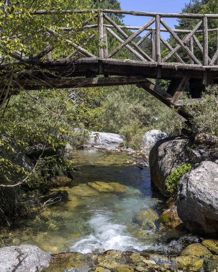 森林里的一座古老的木桥
