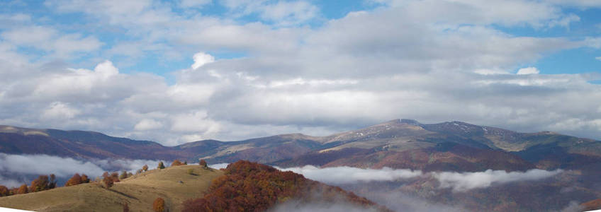 高峰 山谷 森林 秋天 草地