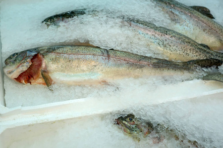 烂肉豇豆卖烂鱼粉红三文鱼照片