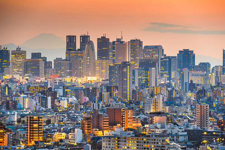 日本东京新宿区和富士山的城市景观