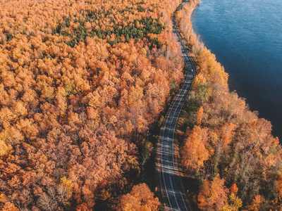 森林晨光鸟瞰图。五彩缤纷的树木和蔚蓝的湖水，蜿蜒曲折的道路。俄罗斯，圣彼得堡
