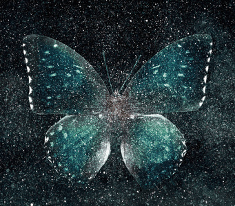 异国星空宇宙星空与蝴蝶照片