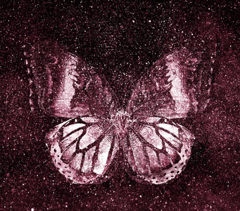 宇宙星空与蝴蝶照片