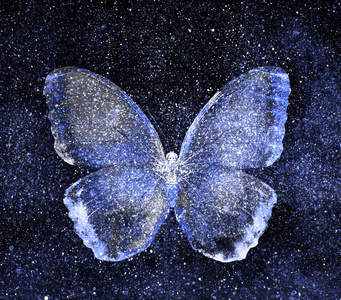 星空夜饼干蝴蝶图片