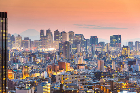 日本东京新宿区和富士山的城市景观