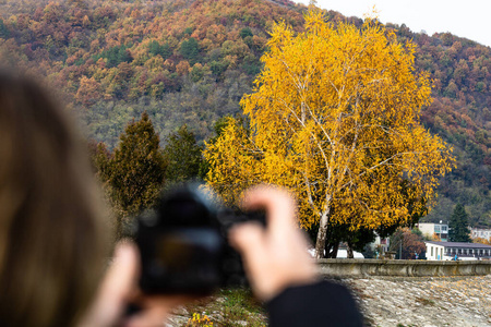 女孩拍摄一棵秋天的树，秋天森林的颜色。