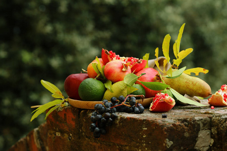 维生素 收获 分类 健康 混合 水果 饮食 抗氧化剂 葡萄