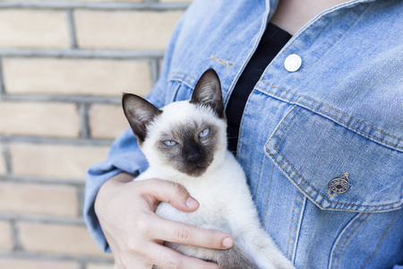 她戴着时髦的太阳镜和可爱的猫摆造型照片