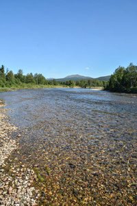 Virgin Komi Forests is a UNESCO World Heritage Site.