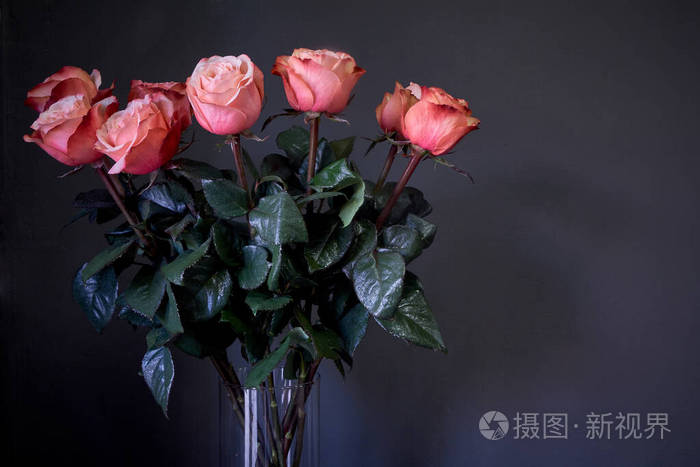 粉红色玫瑰花束在一个透明的高水晶花瓶 灰色墙壁 选择性聚焦照片 正版商用图片25swyd 摄图新视界 粉红色玫瑰花束在一个透明的高水晶花瓶 灰色墙壁 选择性聚焦照片 正版商用图片25swyd 摄图新视界