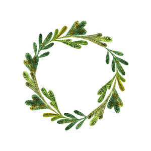 鲜绿色圣诞冷杉花环。水彩插图