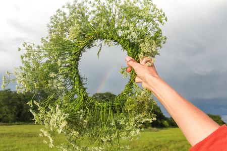 生态学 照顾 生长 天空 保护 植物 棕榈 生态 自然 生活