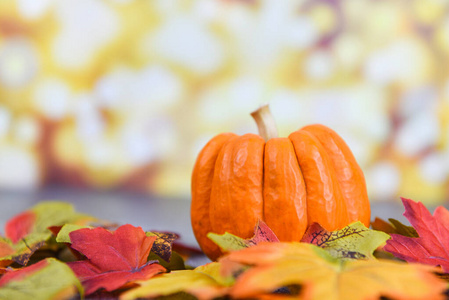秋季南瓜餐桌布置感恩节背景