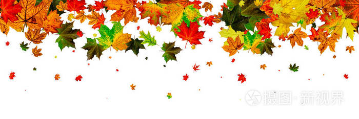 叶子图案 十月抽象的坠落背景 秋海螺照片 正版商用图片25t65r 摄图新视界