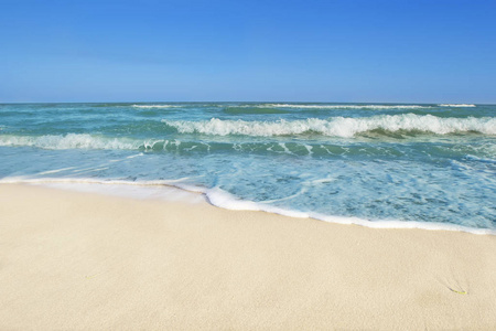 自然 假期 海滩 场景 波动 风景 美女 天空 软的 冲浪