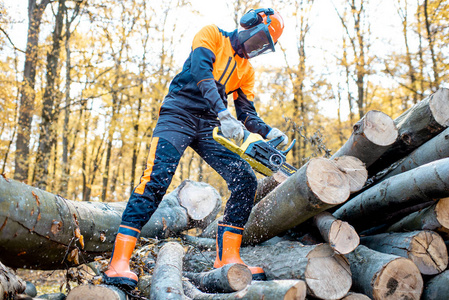 森林里的职业伐木工人照片