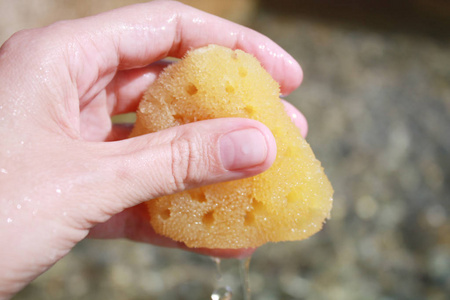 风景 美女 特写镜头 颜色 生物 卵石 纹理 夏天 海岸