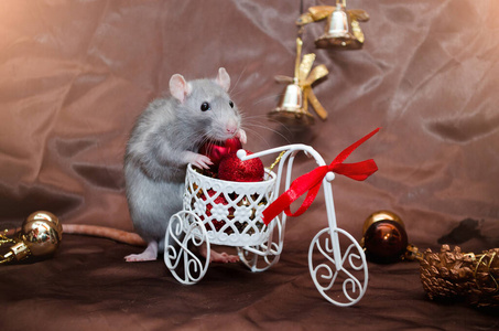 蓝灰色的老鼠坐在自行车上，红色的球，在新年的装饰，在棕色的背景和复制空间