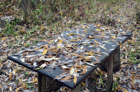 十一月 木材 树叶 季节 桌子 秋天