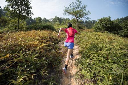 运动员 慢跑 挑战 训练 活力 跑步 独奏 行动 乡村 自然