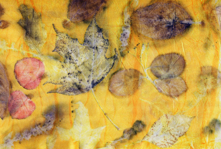 大理石 织物 季节 植物 形象 纹理 剪贴簿 丝绸 美丽的