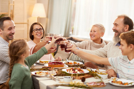 晚餐 享受 男人 在室内 在一起 团结 母亲 庆祝 父亲
