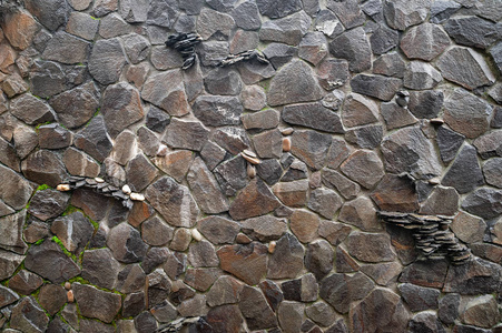 Stone wall. Wall of wild stone. Stone background. 