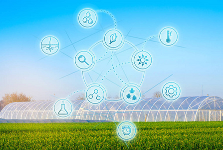 温室产业农业文化产业中的生物技术.高科技和创新.农业和农学.