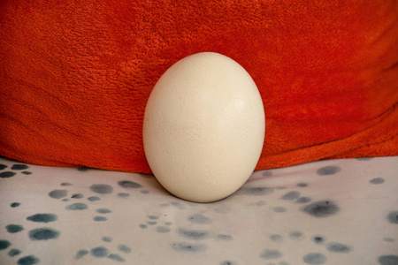 橙色和白色背景上分离的大鸵鸟蛋，黑色圆点。有机鲜鸡蛋。健康食品的概念。鸵鸟蛋作为出生的象征。非洲鸵鸟巨大的白色蛋壳。