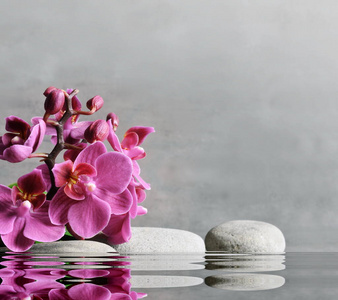 水疗石，灰色背景上的兰花粉色。